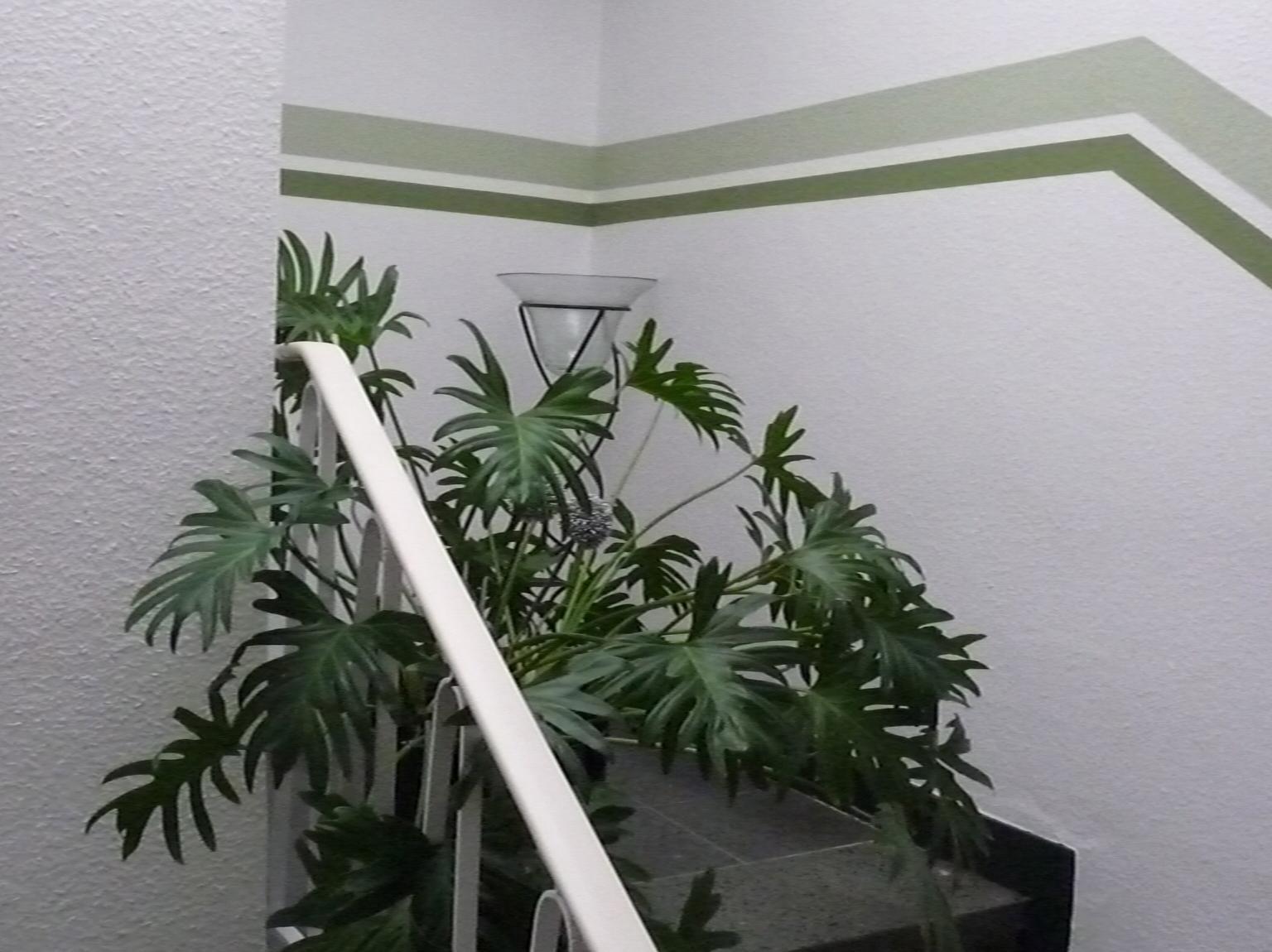 Hotel Sechzehn Leverkusen Kültér fotó